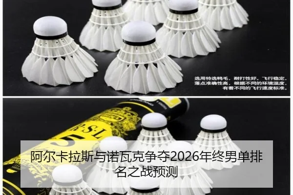 a-er-ka-la-si-yu-nuo-wa-ke-zheng-duo-nian-zhong-nan-dan-pai-ming-zhi-zhan-yu-ce-2-241.jpg
